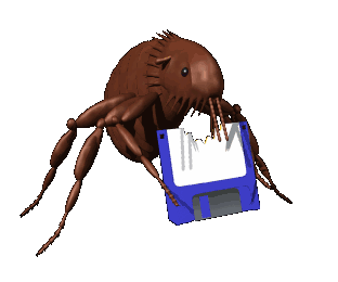 Gif animé puce et puce informatique